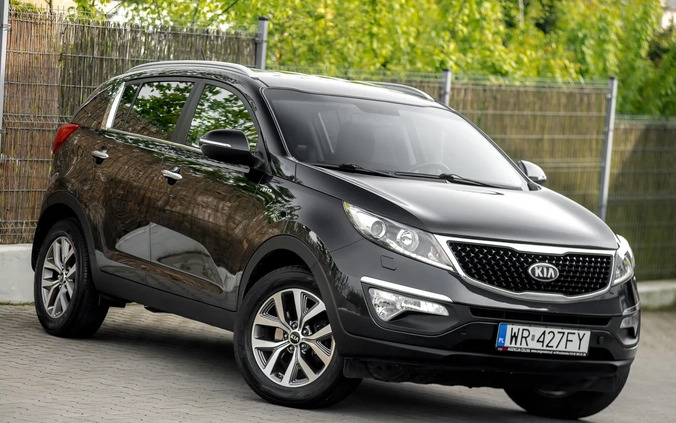 Kia Sportage cena 55900 przebieg: 191000, rok produkcji 2014 z Radom małe 667